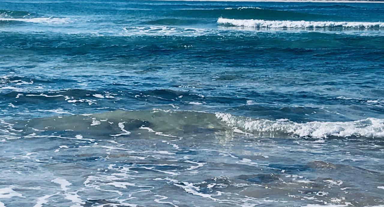 פרל Atlantic Surf Apartment מראה חיצוני תמונה